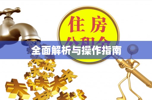 大荔全面解析与操作指南