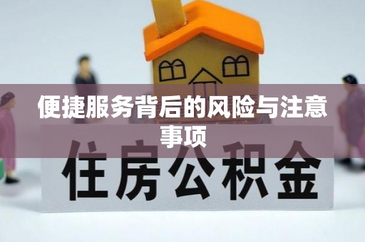大荔便捷服务背后的风险与注意事项