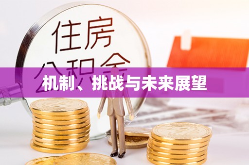 大荔机制、挑战与未来展望