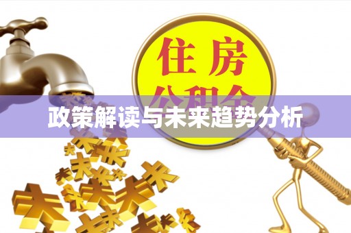 大荔政策解读与未来趋势分析