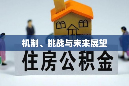 大荔机制、挑战与未来展望