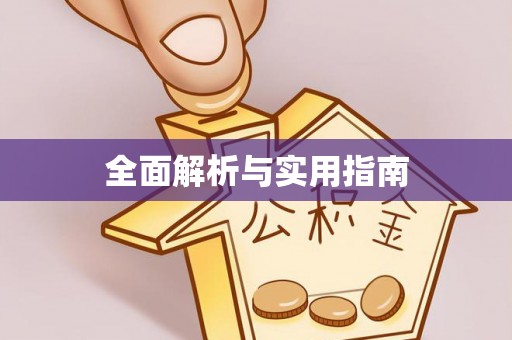 大荔全面解析与实用指南