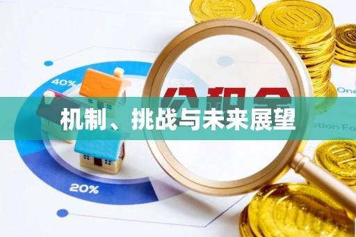 大荔机制、挑战与未来展望